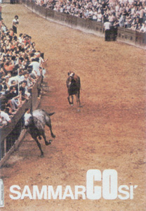 NUMERO UNICO