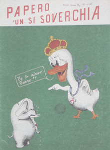 NUMERO UNICO