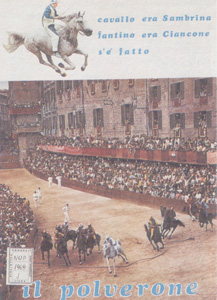 NUMERO UNICO