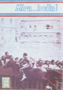 NUMERO UNICO