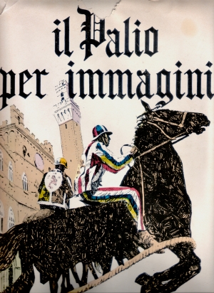 MICHELI SERGIO - IL PALIO PER IMMAGINI