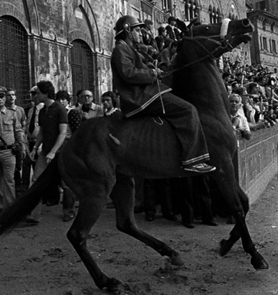 Foto gentilmente concessaci da Daniele Sasson