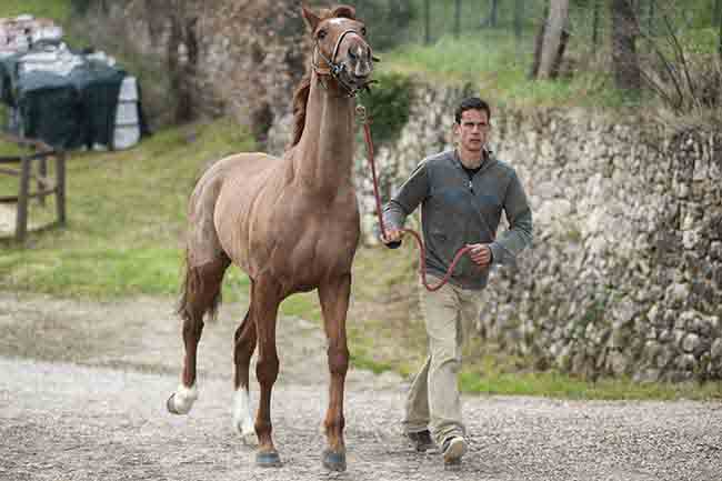 Iniziano gli addestramenti dei cavalli da Palio il 19 aprile sulla pista Tamburo di Monticiano
