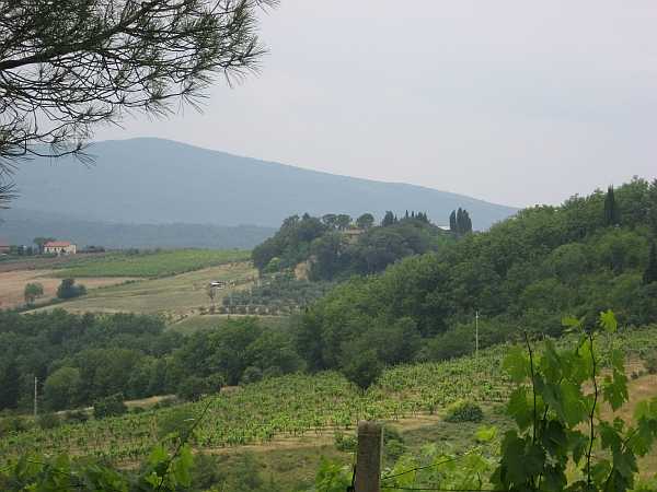 poggioni_1