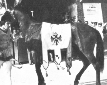 Rondine II