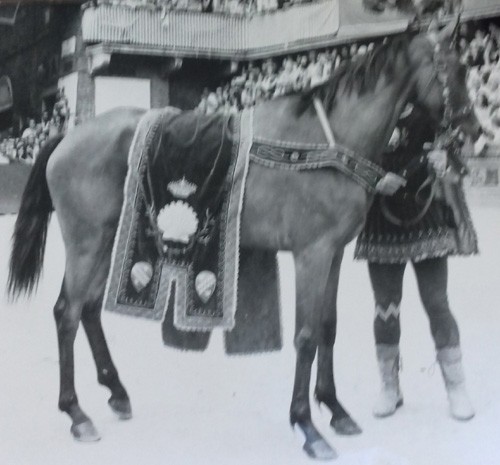 Rondine IV