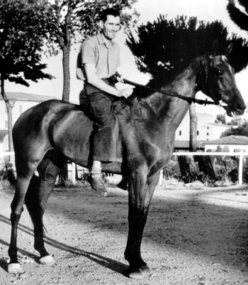 Rondinella