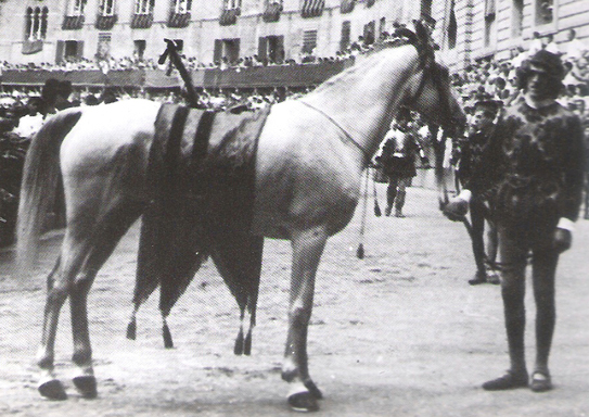 Salomé