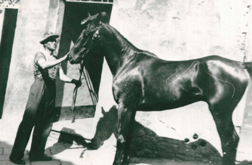 Sansano