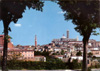 cartolina di siena