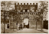 cartolina di siena