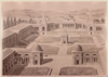 cartolina di siena