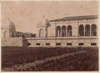 cartolina di siena