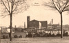 cartolina di siena