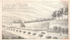 cartolina di siena