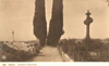 cartolina di siena