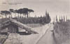 cartolina di siena