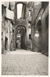 cartolina di siena
