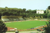 cartolina di siena