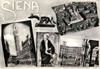 cartolina di siena