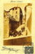 cartolina di siena