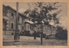 cartolina di siena