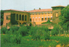 cartolina di siena