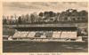 cartolina di siena
