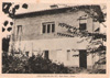 cartolina di siena