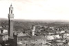 cartolina di siena