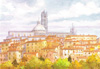 cartolina di siena