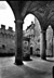 cartolina di siena