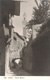 cartolina di siena