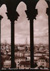 cartolina di siena