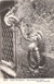 cartolina di siena