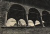 cartolina di siena