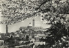 cartolina di siena