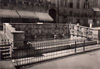 cartolina di siena