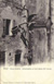 cartolina di siena