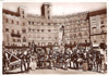 cartolina di siena