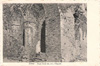 cartolina di siena