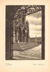 cartolina di siena