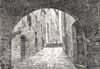 cartolina di siena