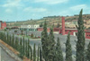 cartolina di siena