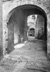 cartolina di siena