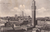 cartolina di siena