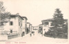 cartolina di siena