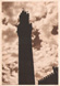 cartolina di siena