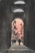 cartolina di siena