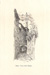 cartolina di siena